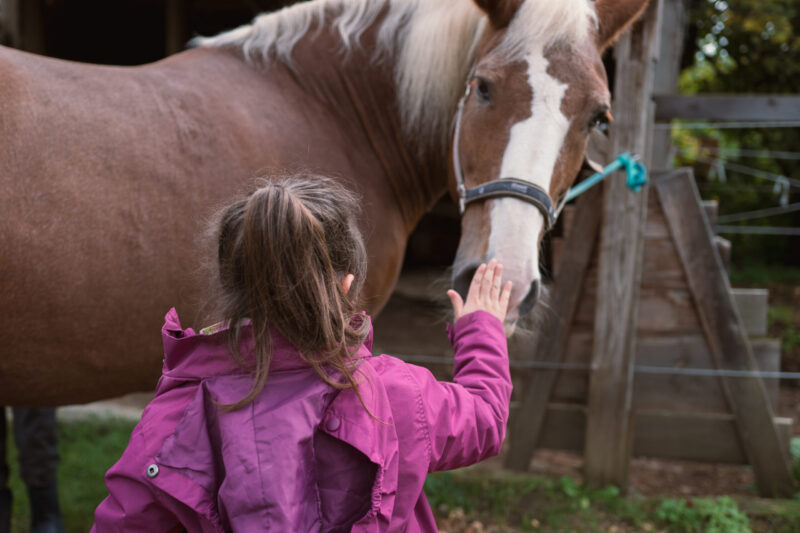 Kind streichelt Pony